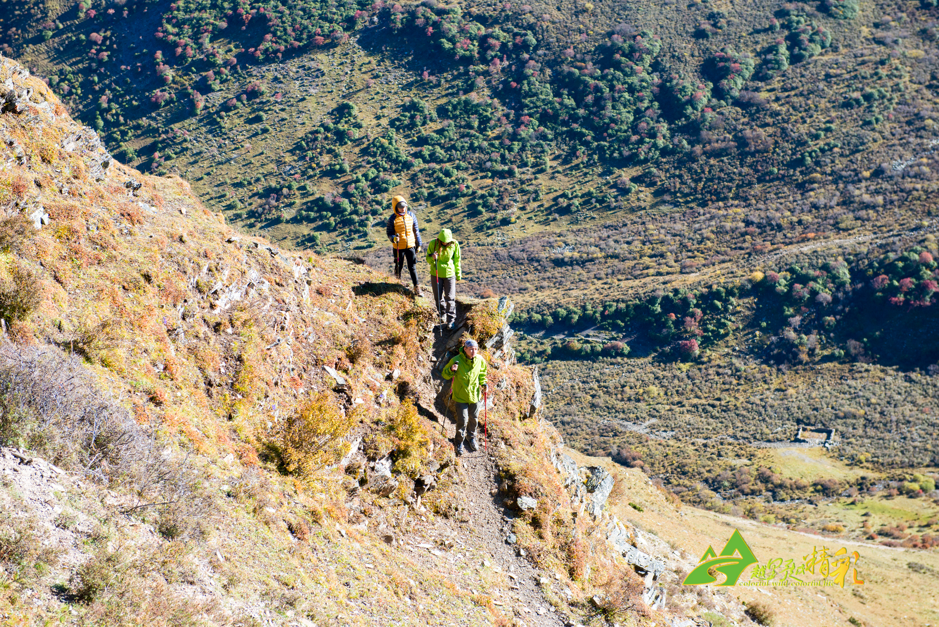 新定义篮球 新定义篮球