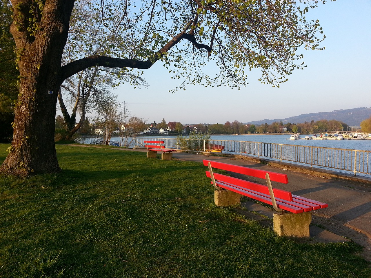 中国速度滑 中国速度滑